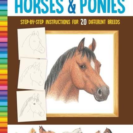 How to Draw Horses & Ponies: Step-by-step instructions for 20 different breeds