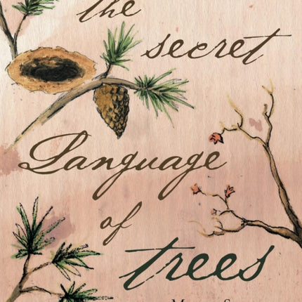 The Secret Language Of Trees