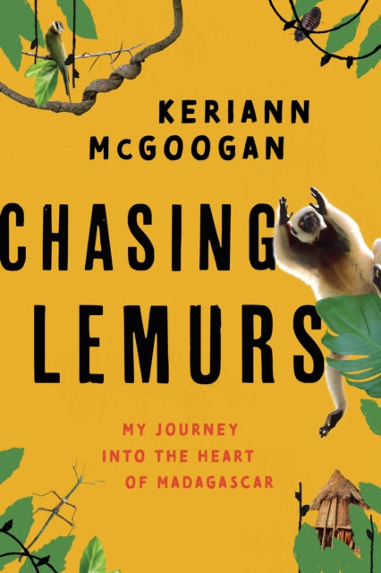 Chasing Lemurs: My Journey into the Heart of