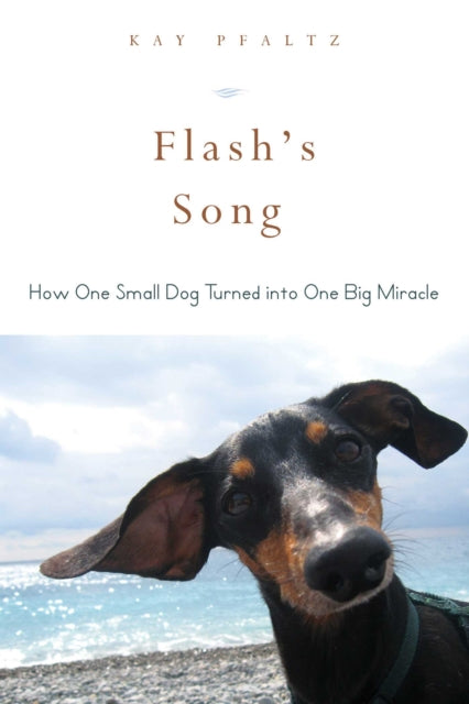 Flash's Song: How One Small Dog Turned into One Big Miracle