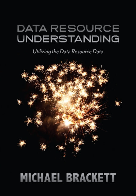 Data Resource Understanding: Utilizing the Data