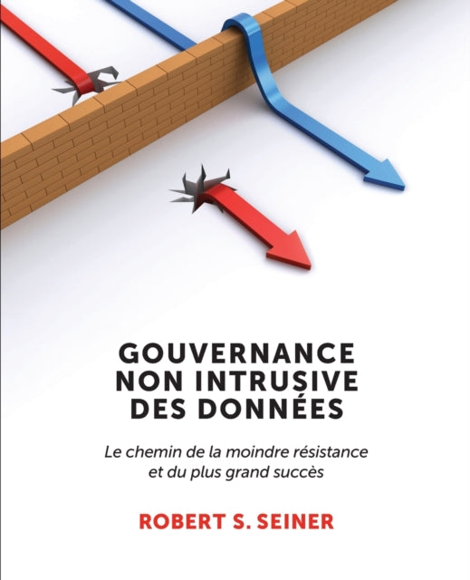 Gouvernance Non Intrusive Des Données: Le chemin