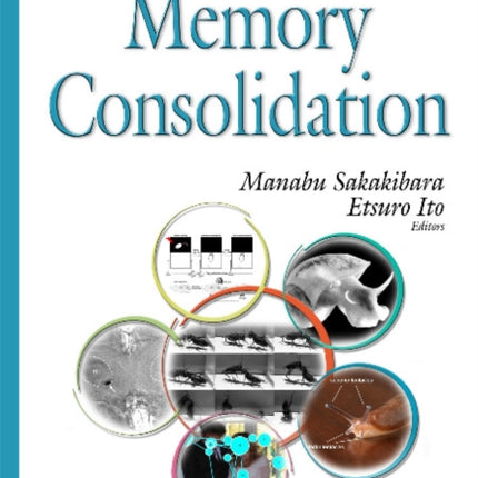 Memory Consolidation