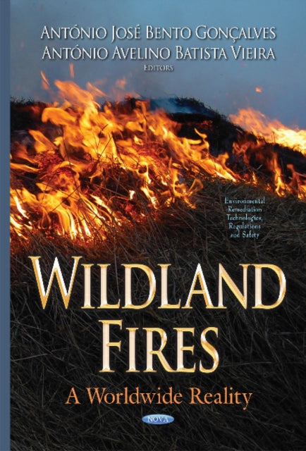 Wildland Fires: A Worldwide Reality