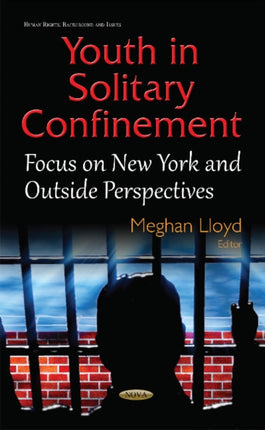 Youth in Solitary Confinement: Focus on New York