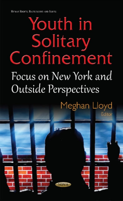Youth in Solitary Confinement: Focus on New York