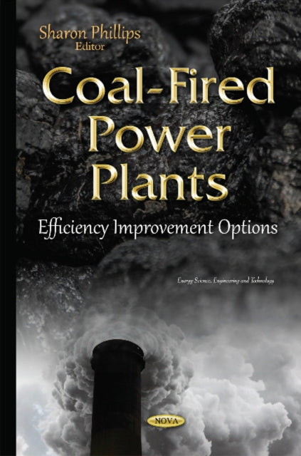 Coal-Fired Power Plants: Efficiency Improvement