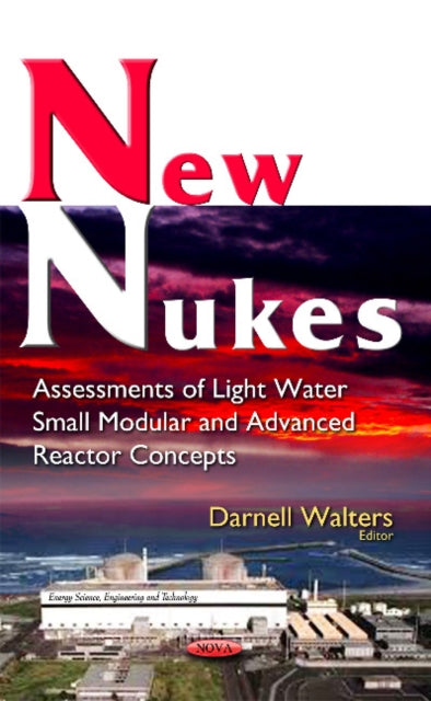 New Nukes: Assessments of Light Water Small