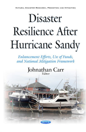 Disaster Resilience after Hurricane Sandy: