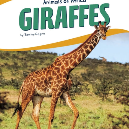 Animals of Africa: Giraffes