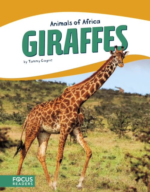 Animals of Africa: Giraffes