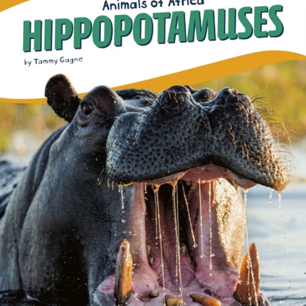 Animals of Africa: Hippopotamuses