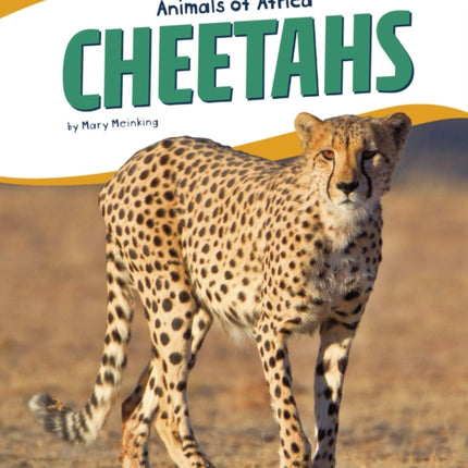 Animals of Africa: Cheetahs