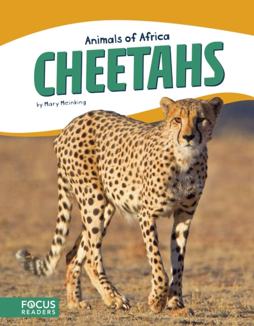 Animals of Africa: Cheetahs