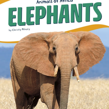 Animals of Africa: Elephants