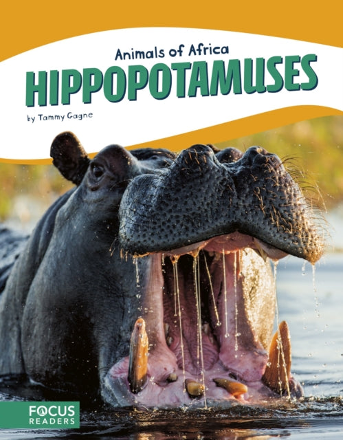 Animals of Africa: Hippopotamuses