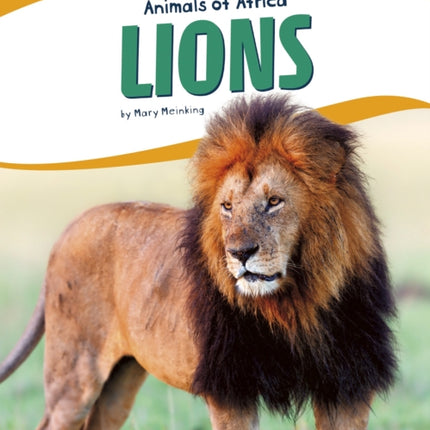 Animals of Africa: Lions