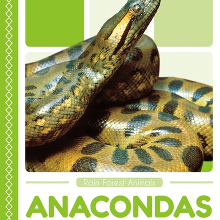 Rain Forest Animals: Anacondas