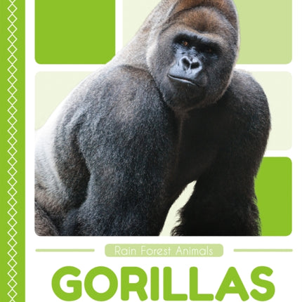 Rain Forest Animals: Gorillas