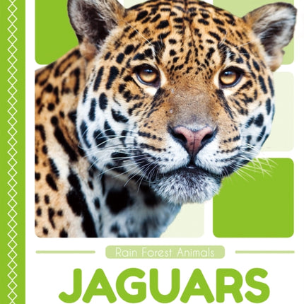 Rain Forest Animals: Jaguars