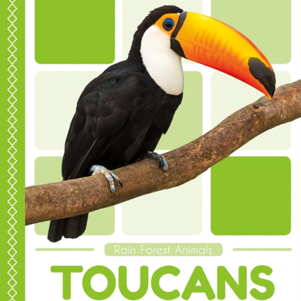 Rain Forest Animals: Toucans