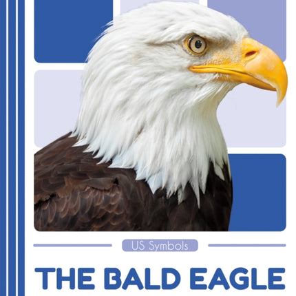 US Symbols: The Bald Eagle