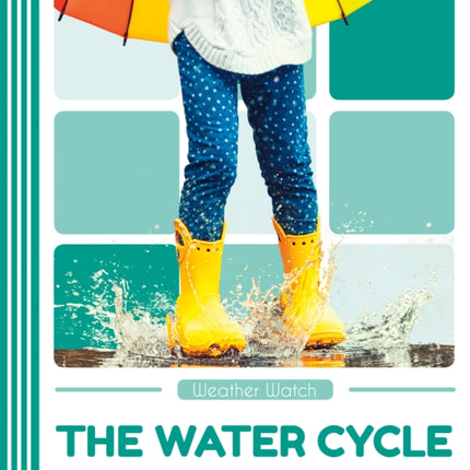 Weather Watch: The Water Cycle