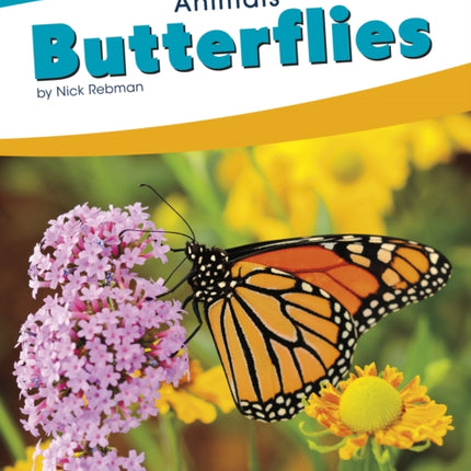 Animals: Butterflies