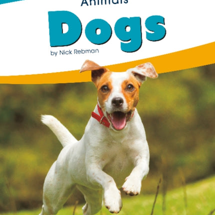 Animals: Dogs