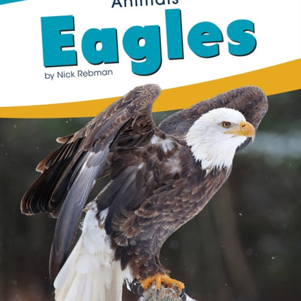 Animals: Eagles