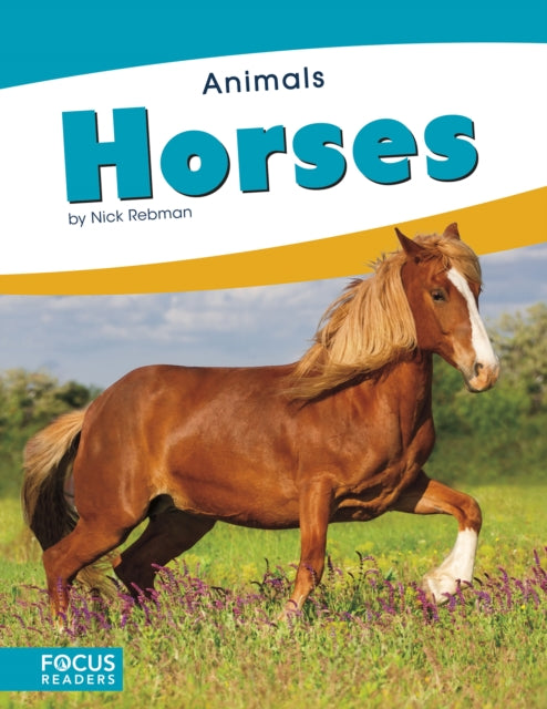 Animals: Horses