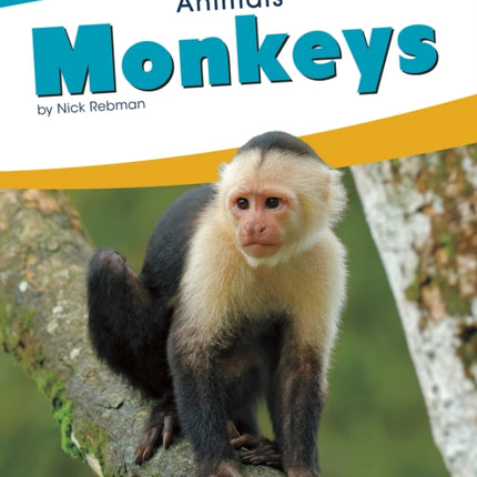 Animals: Monkeys