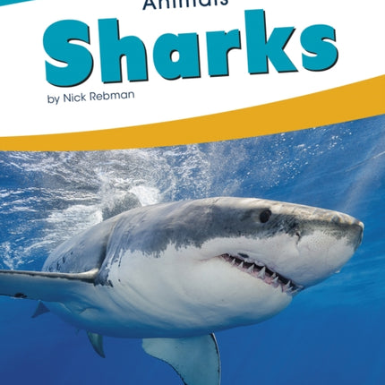 Animals: Sharks