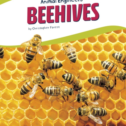 Animal Engineers: Beehives