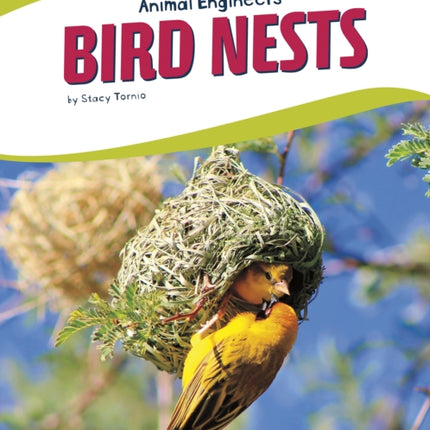 Animal Engineers: Bird Nests