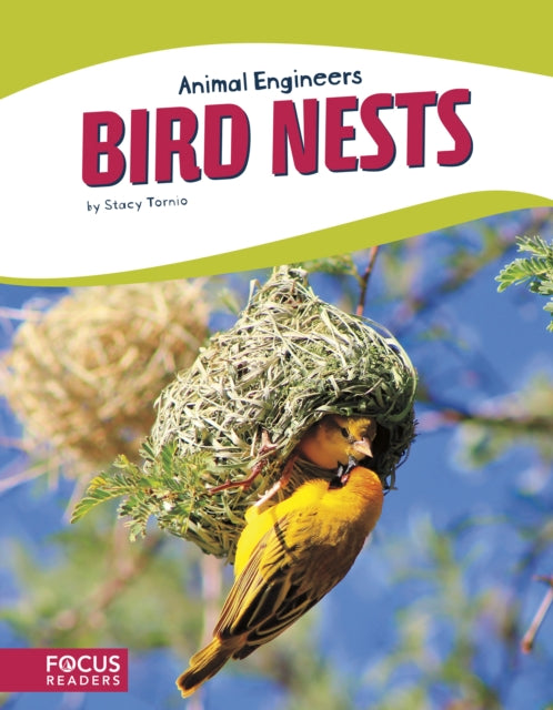 Animal Engineers: Bird Nests