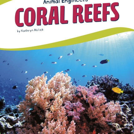 Animal Engineers: Coral Reef