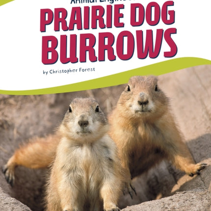 Animal Engineers: Prairie Dog Burrows