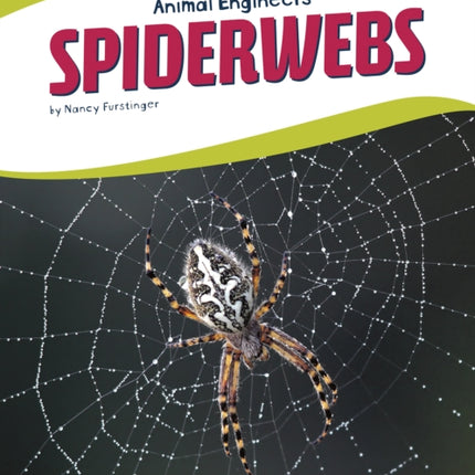 Animal Engineers: Spiderwebs