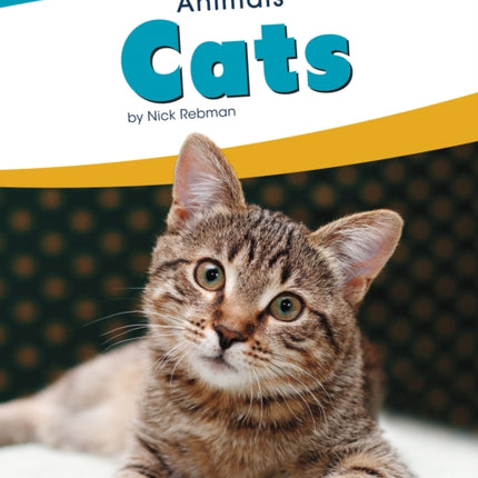 Animals: Cats