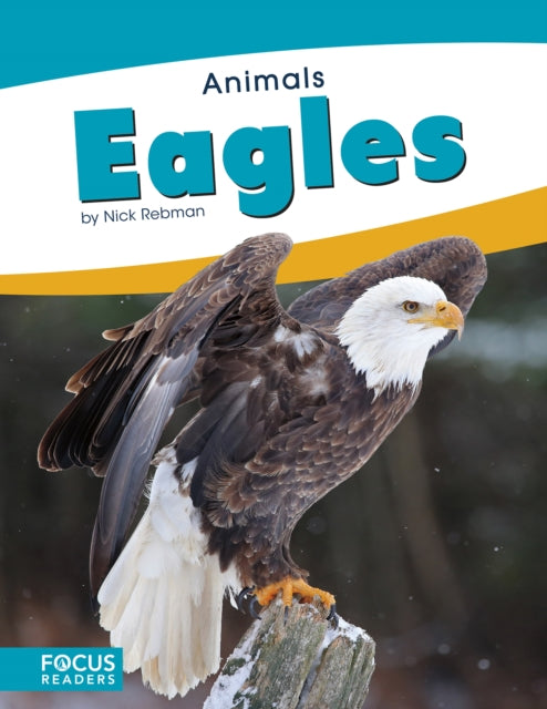 Animals: Eagles