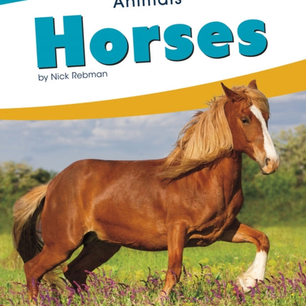 Animals: Horses