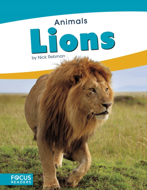 Animals: Lions