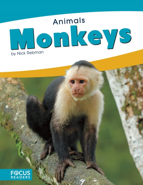 Animals: Monkeys