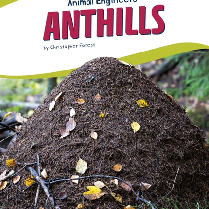 Animal Engineers: Anthills