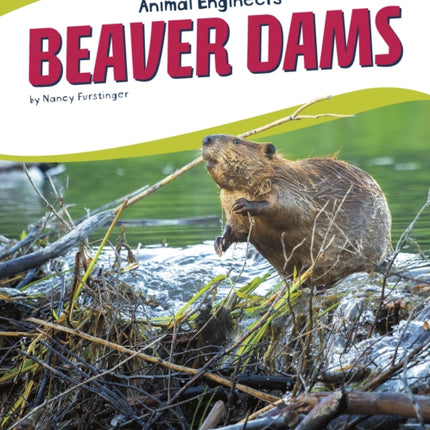 Animal Engineers: Beaver Dams