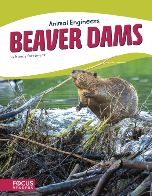 Animal Engineers: Beaver Dams