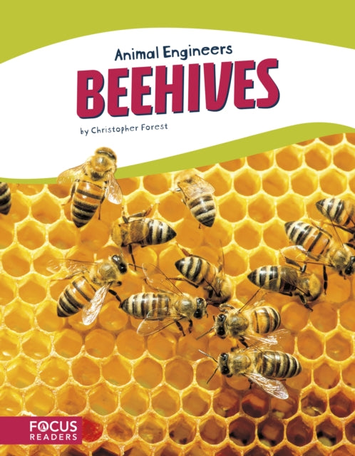 Animal Engineers: Beehives