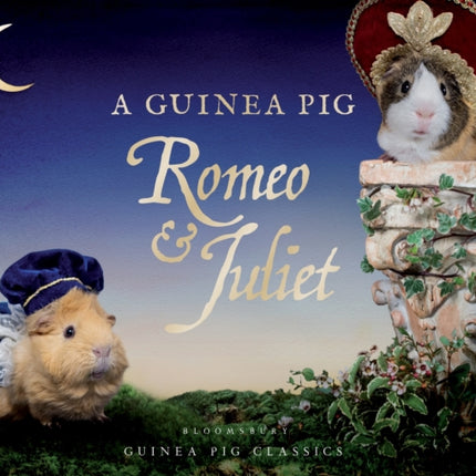 A Guinea Pig Romeo & Juliet