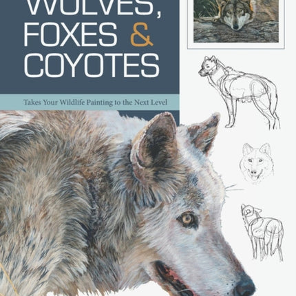 Wolves, Foxes & Coyotes (Wildlife Painting Basics)